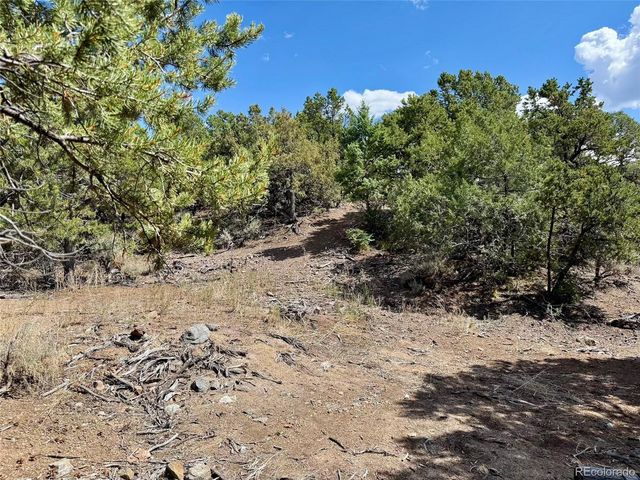 1379 Carter Road, Fort Garland, CO 81133