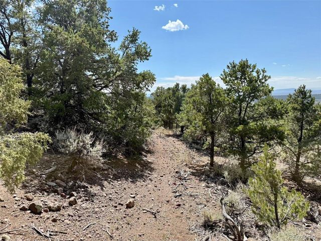 1379 Carter Road, Fort Garland, CO 81133