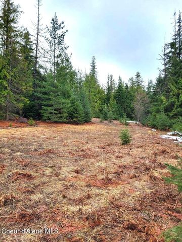 240 Rising Hawk Ridge Rd, Sandpoint, ID 83864