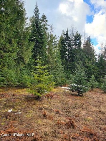 240 Rising Hawk Ridge Rd, Sandpoint, ID 83864
