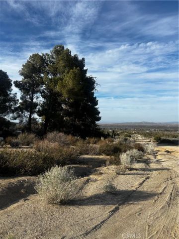 0 Avenue W-14, Pearblossom, CA 93553
