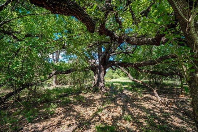 TBD Cr 253, Weimar, TX 78962