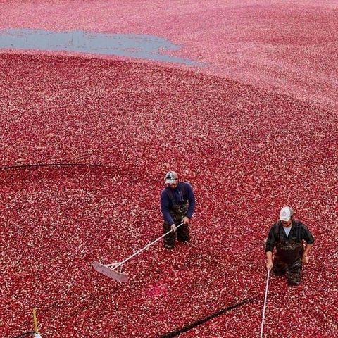 29 Carleton Pl 29, Wareham, MA 02558