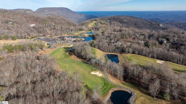 112 Blazing Star Trail, Landrum, SC 29356