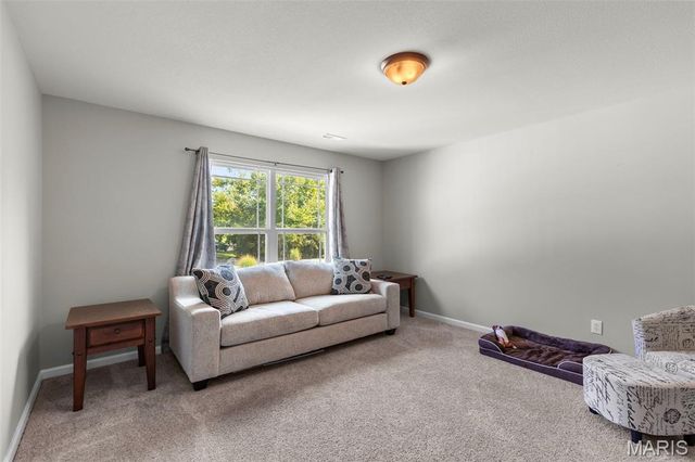 120 Willow Branch, Hillsboro, MO 63050
