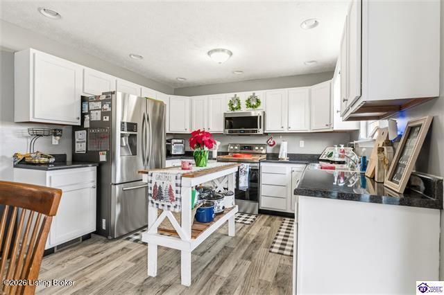 1140 Garrett Rd, Brandenburg, KY 40108