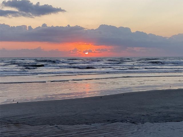 257 MINORCA BEACH WAY 504, New Smyrna Beach, FL 32169