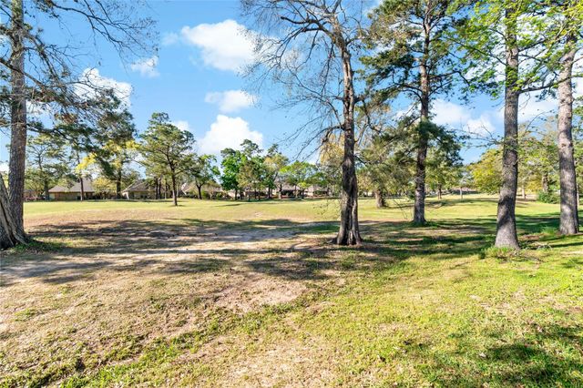 25596 Peppermill Creek Drive, Porter, TX 77365