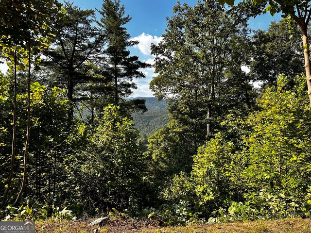 LOT J-12 Winterberry Trail, Clayton, GA 30525