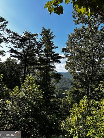LOT J-12 Winterberry Trail, Clayton, GA 30525