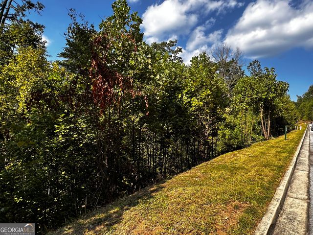 LOT J-12 Winterberry Trail, Clayton, GA 30525