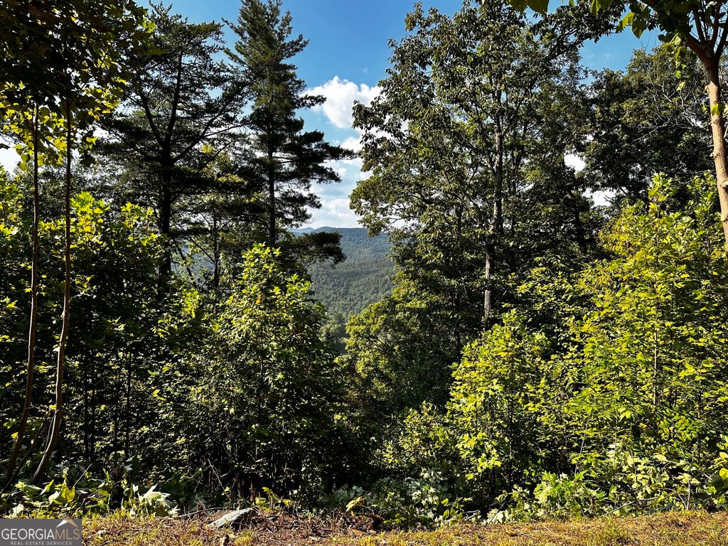 LOT J-12 Winterberry Trail, Clayton, GA 30525 — photo 3