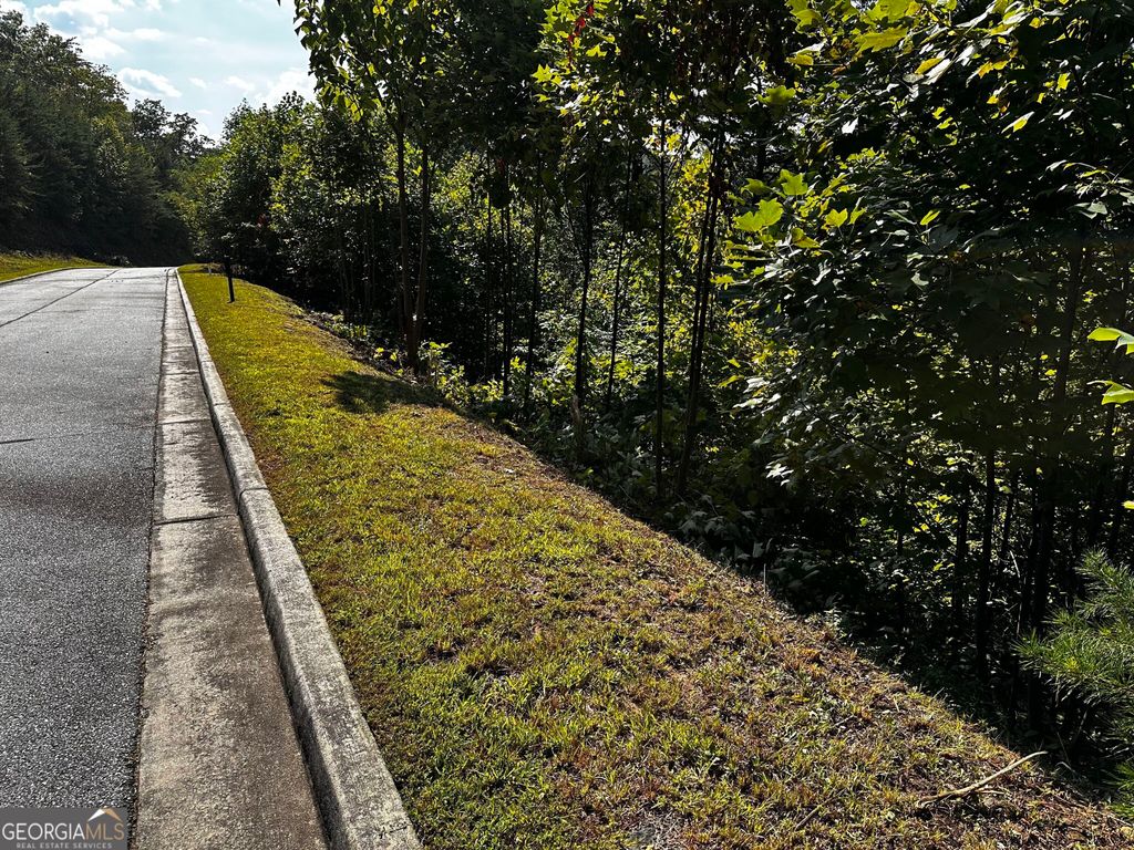 LOT J-12 Winterberry Trail, Clayton, GA 30525 — photo 4