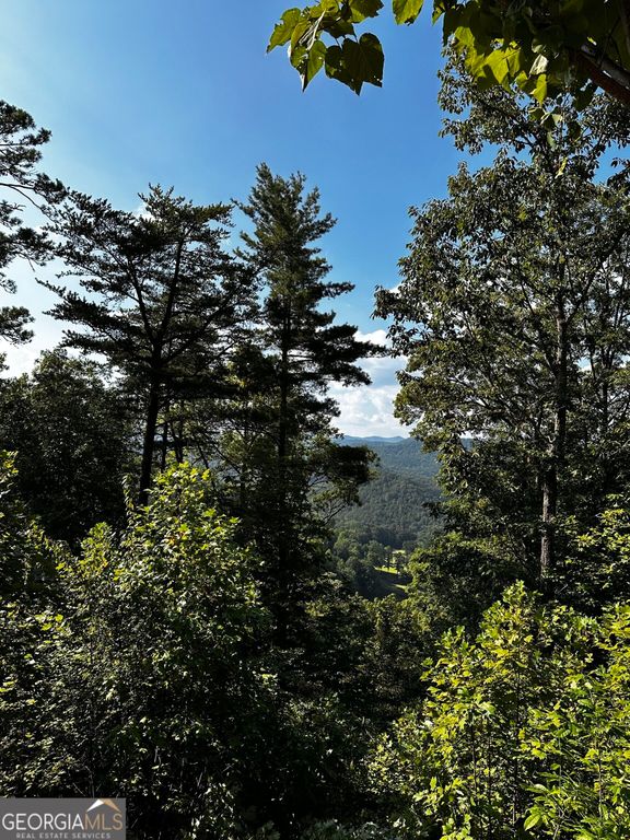 LOT J-12 Winterberry Trail, Clayton, GA 30525 — photo 5