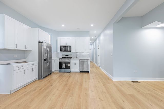 1520 S Christiana Avenue, Chicago, IL 60623