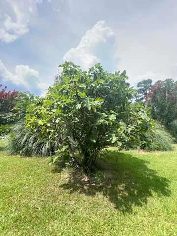 1156 W A. Gamble Road, Manning, SC 29102