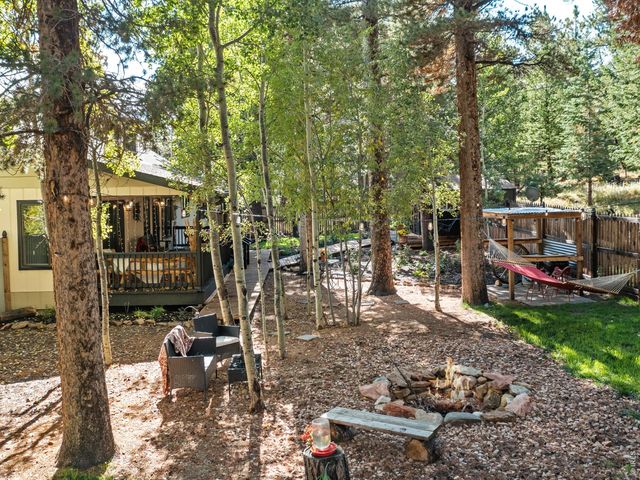 11982 Peak To Peak Dr, Allenspark, CO 80510