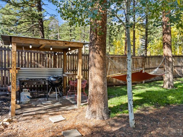 11982 Peak To Peak Dr, Allenspark, CO 80510