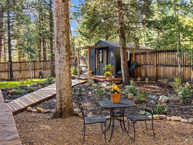 11982 Peak To Peak Dr, Allenspark, CO 80510