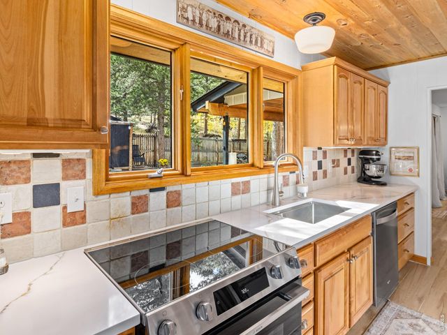 11982 Peak To Peak Dr, Allenspark, CO 80510