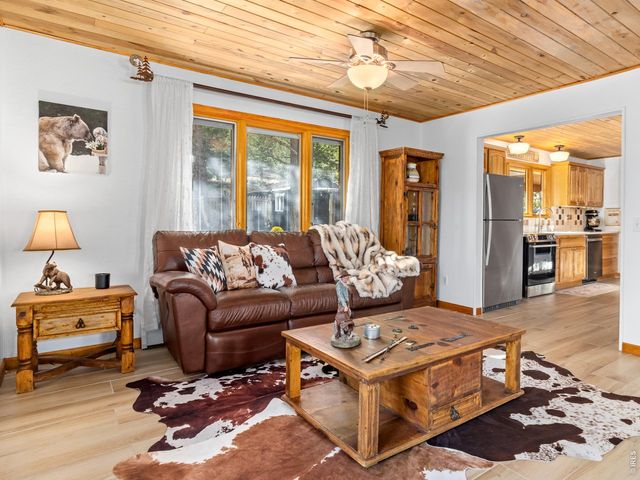 11982 Peak To Peak Dr, Allenspark, CO 80510