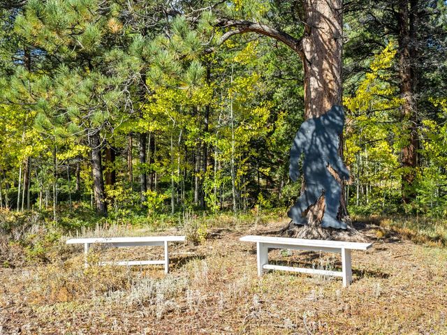 11982 Peak To Peak Dr, Allenspark, CO 80510