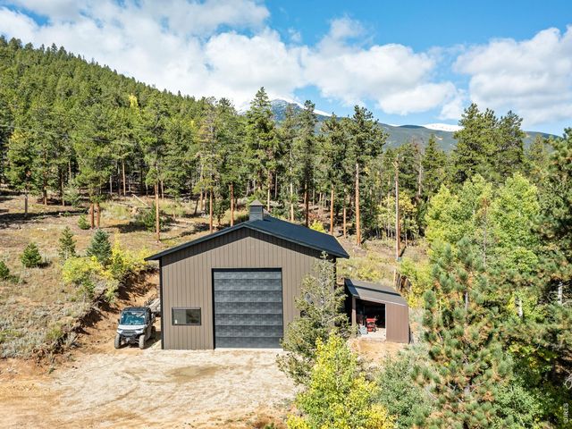 11982 Peak To Peak Dr, Allenspark, CO 80510