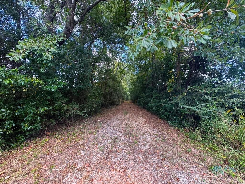 8800 Williams Street W, Citronelle, AL 36522 — exterior