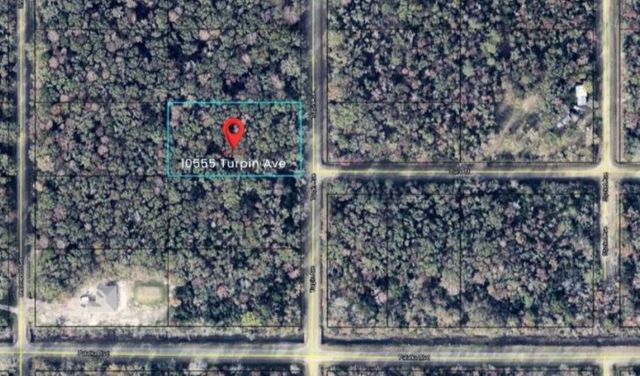10555 Turpin Ave, Hastings, FL 32145