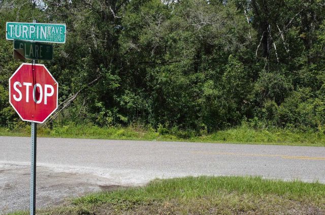 10555 Turpin Ave, Hastings, FL 32145