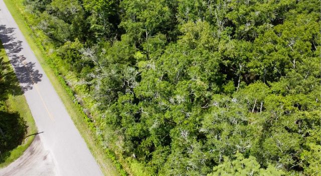 10555 Turpin Ave, Hastings, FL 32145