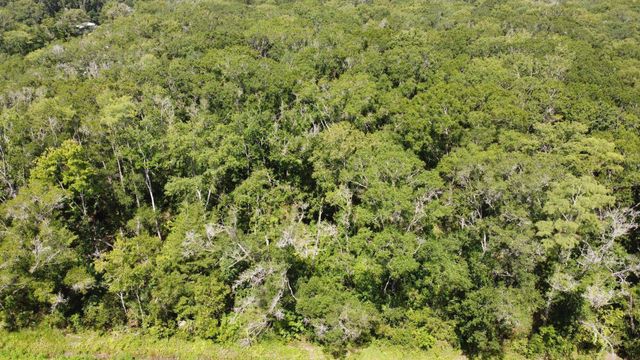 10555 Turpin Ave, Hastings, FL 32145