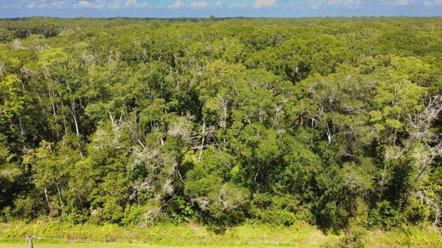 10555 Turpin Ave, Hastings, FL 32145