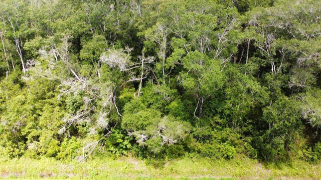 10555 Turpin Ave, Hastings, FL 32145