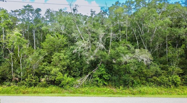 10555 Turpin Ave, Hastings, FL 32145