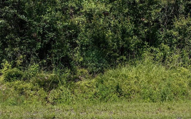 10555 Turpin Ave, Hastings, FL 32145