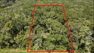 10555 Turpin Ave, Hastings, FL 32145