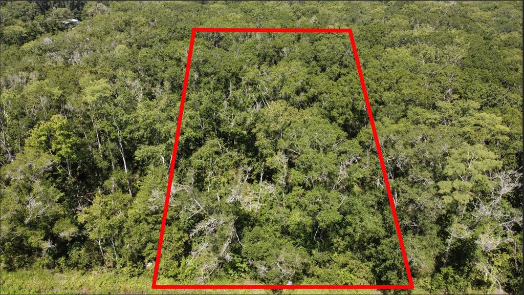 10555 Turpin Ave, Hastings, FL 32145