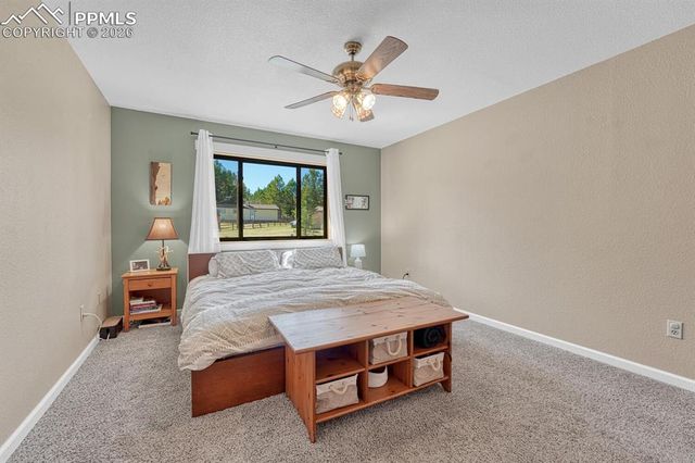 501 Taopi Circle, Woodland Park, CO 80863