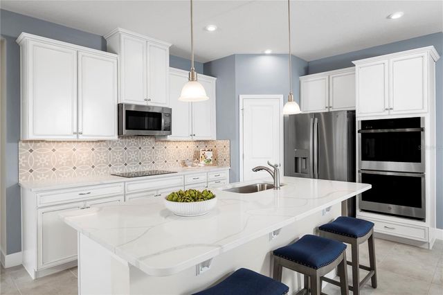 2437 WHITE LADYFISH ROAD, Wimauma, FL 33598