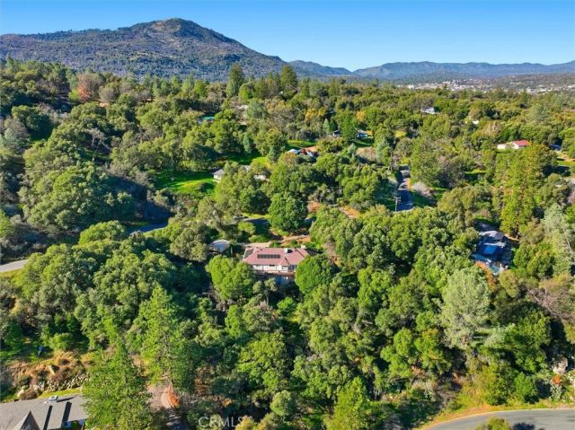 39309 Forest Park Lane, Oakhurst, CA 93644