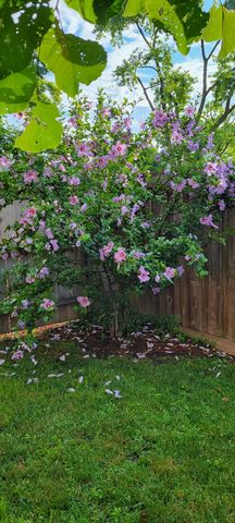 105 King Lane, Des Plaines, IL 60016