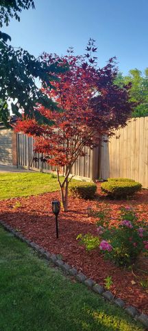 105 King Lane, Des Plaines, IL 60016