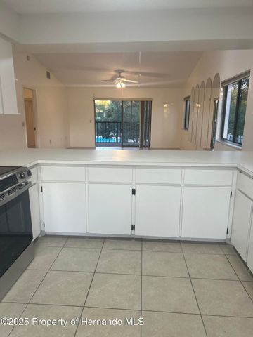 6452 River Run Boulevard, Weeki Wachee, FL 34607