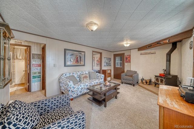 37820 Twin Kopie Drive, Buena Vista, CO 81211