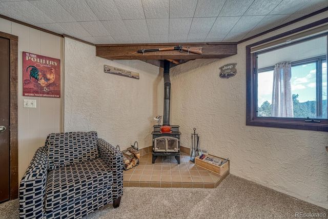 37820 Twin Kopie Drive, Buena Vista, CO 81211