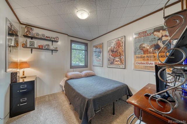 37820 Twin Kopie Drive, Buena Vista, CO 81211