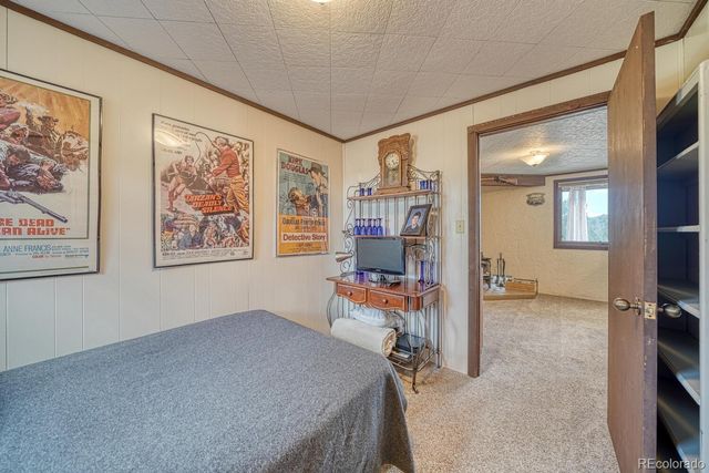 37820 Twin Kopie Drive, Buena Vista, CO 81211