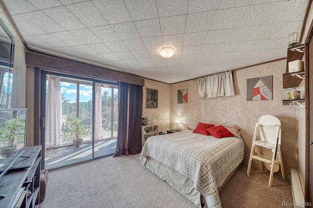 37820 Twin Kopie Drive, Buena Vista, CO 81211