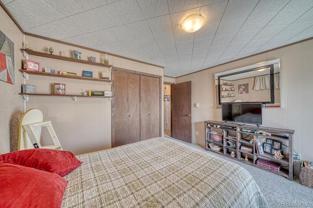 37820 Twin Kopie Drive, Buena Vista, CO 81211